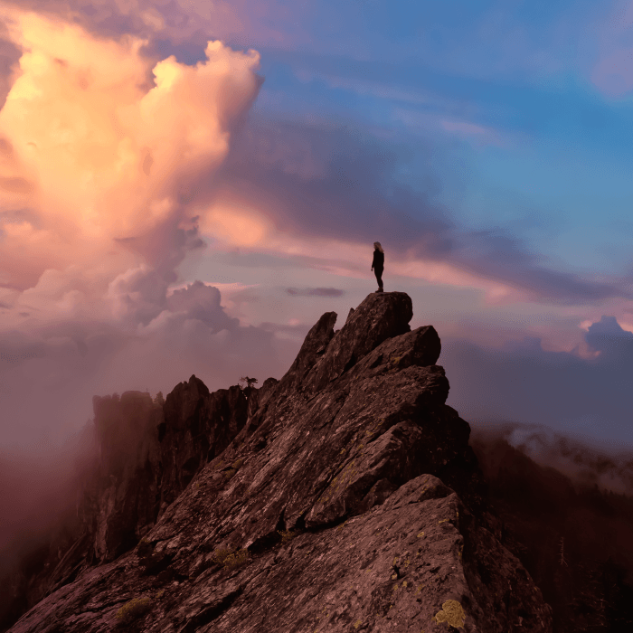 blog thumbnail: The Ultimate Guide to Becoming a Principal Product Manager